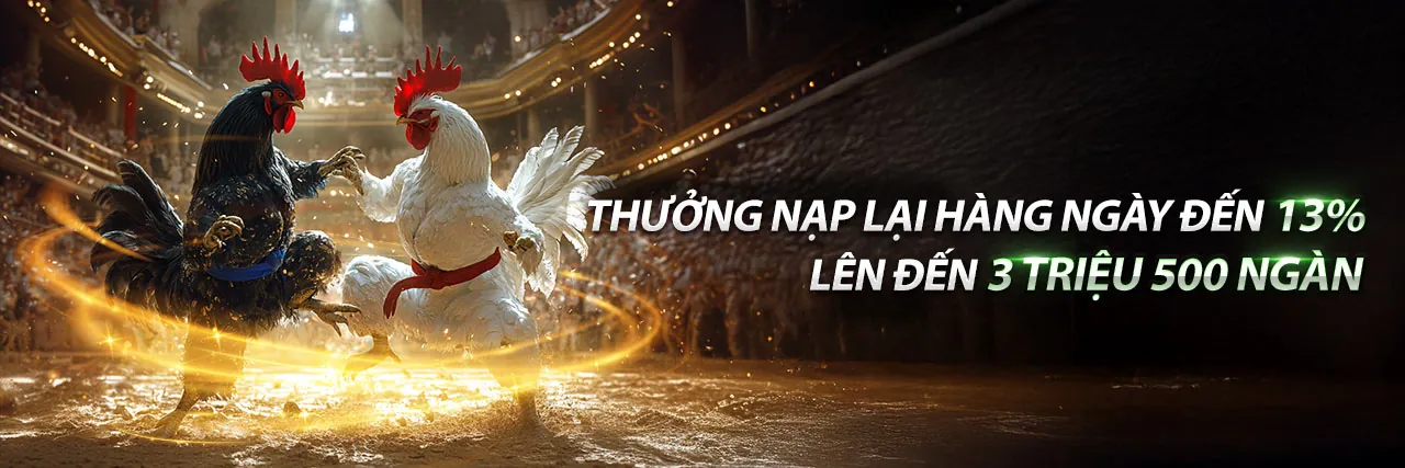Hình ảnh chính về khuyến mãi 3in1bet